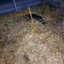 서윤농장 이미지