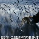 밀밭의아침