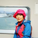 카멜리 이미지