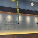 제주서귀돈 | 올레시장 근처 흑돼지 제주서귀돈 서귀포올레시장점 내돈내산, 아쉬웠던 후기