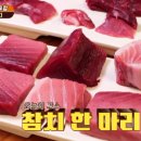 참치왕 양승호 이미지