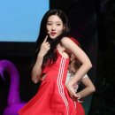 다이아윈도 이미지