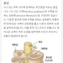운정와이즈병원