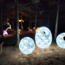 내장산문화광장 이미지