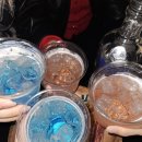 제주도 스테이블 이미지