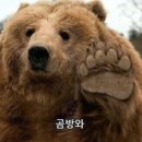 루프탑하우스