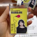 부산진구청 | 2025 부산진구 SNS 서포터즈 지니어스 6기 합격 및 발대식 후기