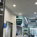 장터분식해성만두 | [담양 맛집] 대잎손만두 또간집! 튀긴만두+쫄면 조합 못 잃어 (담양장터 주차꿀팁)