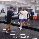 피노키오복싱 이미지