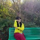 청산민박 | [파리] 4월 파리 혼자 여행, 어떻게 가게됐냐면요? #1 (8박9일 일정,날씨,맛집)