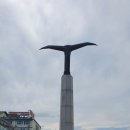 낙산해송