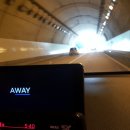 수일억조 횟집 | 전남 보성 율포해변 활어잡기 페스티벌 솔직후기