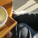 호코농장 이미지