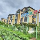 순천만 뜰 이미지