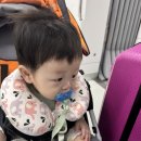 포유푸드 창성시트 | 7개월 아기랑 3박4일 제주여행 체크리스트 공유 비행기 공항철도 오리엔탈호텔 첫 날