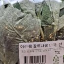 NR-30[달구벌대로]-하-41 | May-2편 (밟으실 수수수수퍼노바)