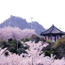 유달산 이미지