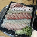 뉴송정하우스 | 봄!!!이빨리오면좋켓당...