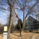 카페그림 이미지