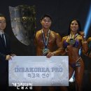 내츄럴코리아 이미지