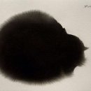 멋진 고양이 이미지