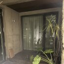 선이못 | [제주] 감성 에어비앤비 내돈내산 후기 ‘선이못’ 1번 방