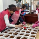 충주희망나눔봉사센터 | 창원시자원봉사회, 어버이날 기념 삼계탕 및 밑반찬 나눔 봉사 후기