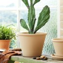 라운더리 이미지