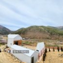 돌담컴퍼니