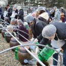 웰빙 1000 이미지