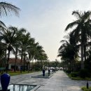 그랜드오션 | 다낭🇻🇳그랜드 브리오 오션 리조트 내돈내산 후기