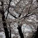 신탄진역 이미지