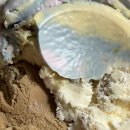 다송2호 이미지