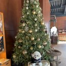 멜로테일 이미지