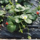 원종어린이집 이미지