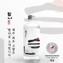 뉴월드 이미지