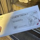 260106 너트30 크라잉넛 x YB 후기
