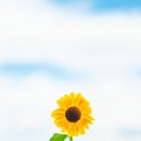 영락농원 이미지