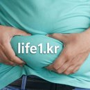 정동희가 생각하는 현대 비만의 결정적 주범 3가지 The Three Decisive Culprits of Modern Obesity a 이미지
