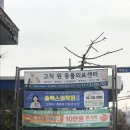 고척 원 동물의료센터 이미지