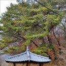 [삼일절 기념] 계룡산 용산구곡(龍山九曲) 탐방 이미지