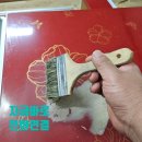 [전주,익산,군산] 주택 싱크대 인테리어필름 시공 후기 – 낡은 싱크대, 새것처럼 바뀌다!