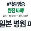 일본 병원 파스 1팩 100ml × 7장 이미지