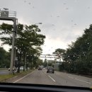 녹천농원 이미지