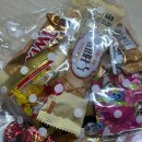 메가스카이학원 | 러셀기숙 후기⭐️