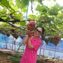 예은농장 이미지