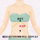 장수건강 이미지