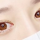 제이앤컬 네이버블로그