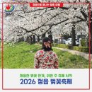 전북특별자치도 정읍시농업기술센터 | 정읍 벚꽃축제 이번 주 만개한 벚꽃 만나는 정읍천 봄나들이