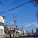 삼보초등학교 뉴스티앤티